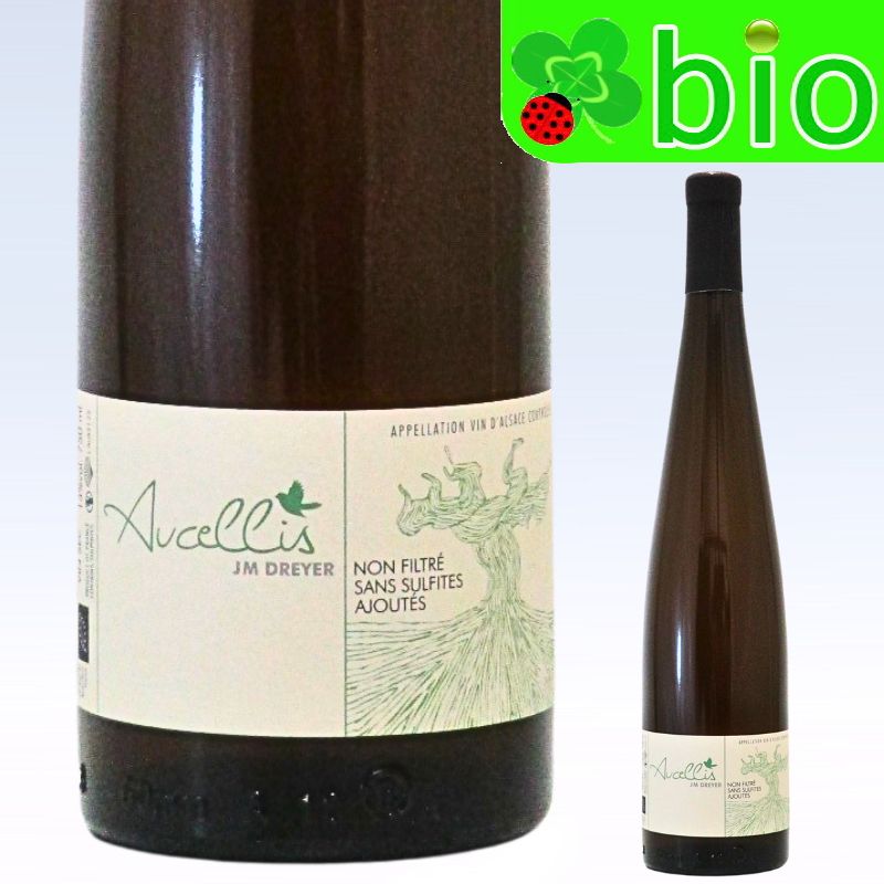 オーセリス[2021-2022]ジャン マルク ドレイヤー AC Alsace Aucellis Jean Marc DREYER