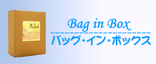 バックインボックス