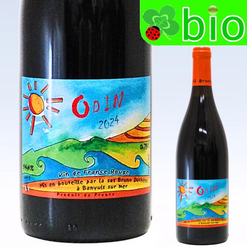 オダン(赤／サンスフル)[2024]ブリュノ デュシェン Odin Bruno Duchene